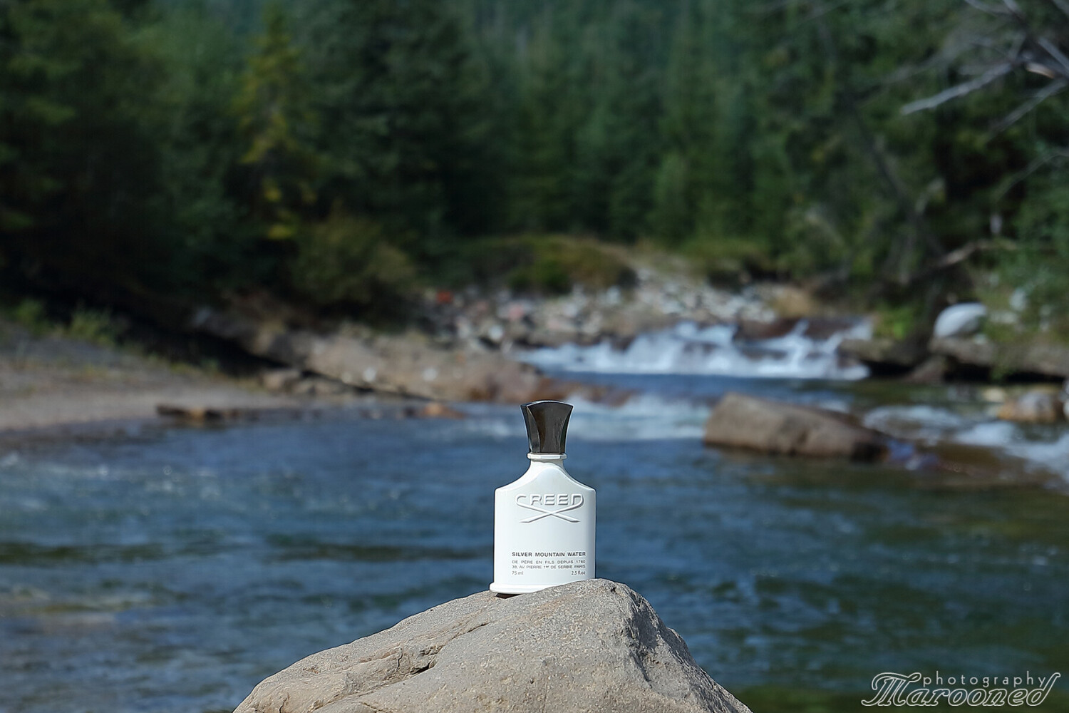 Silver Creed In The Mountain
